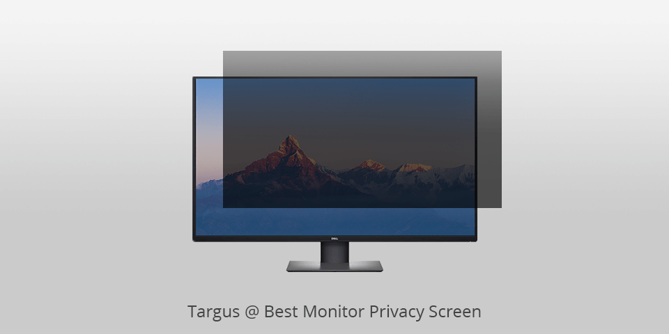 private screen computer