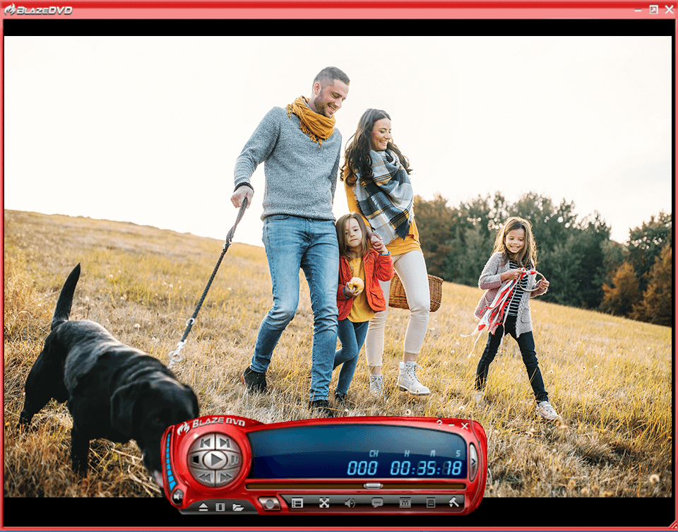 blazedvd dvd player for windows 10