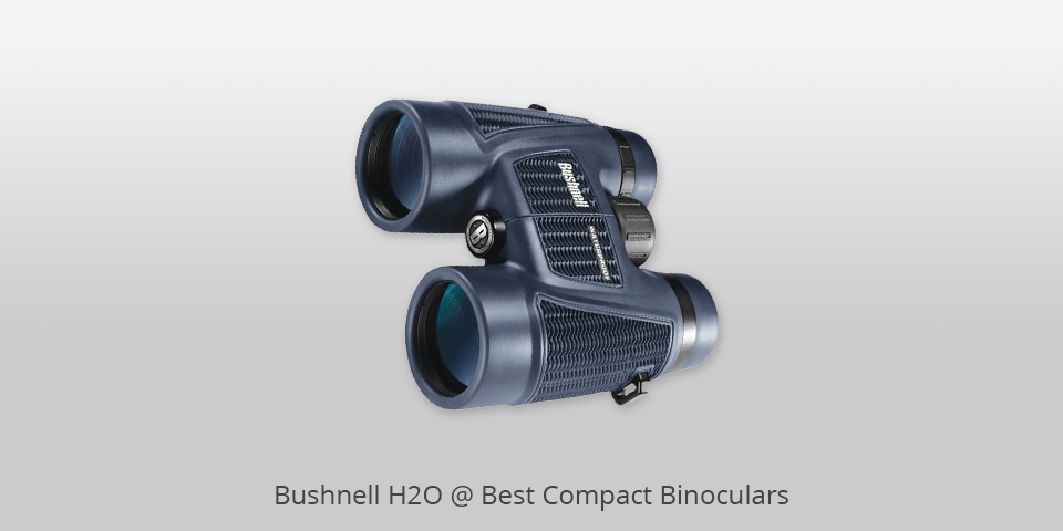 small powerful binoculars
