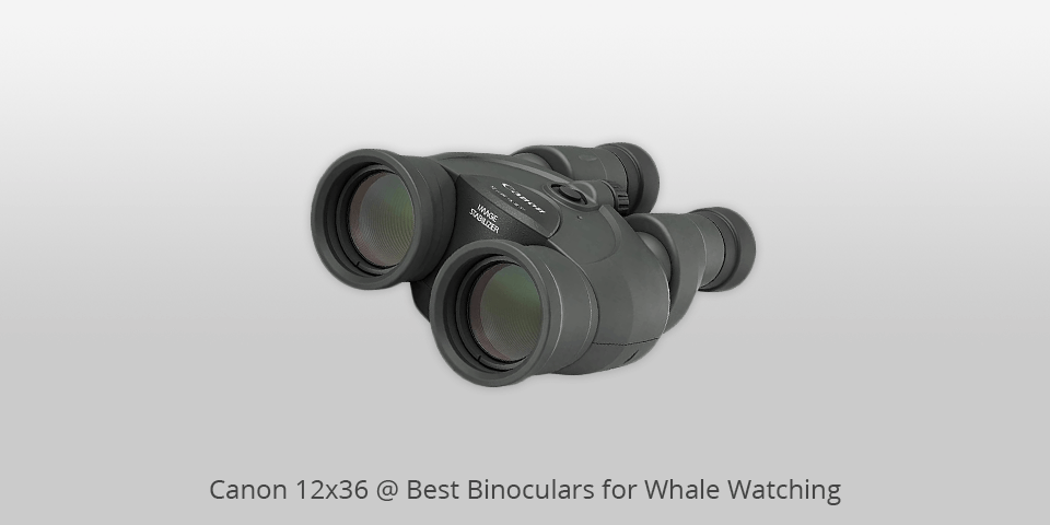 canon 12x binoculars