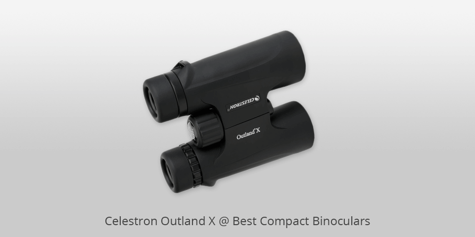 compact birding binoculars