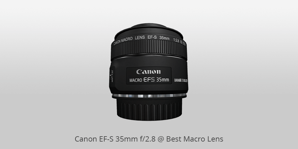 best macro lens