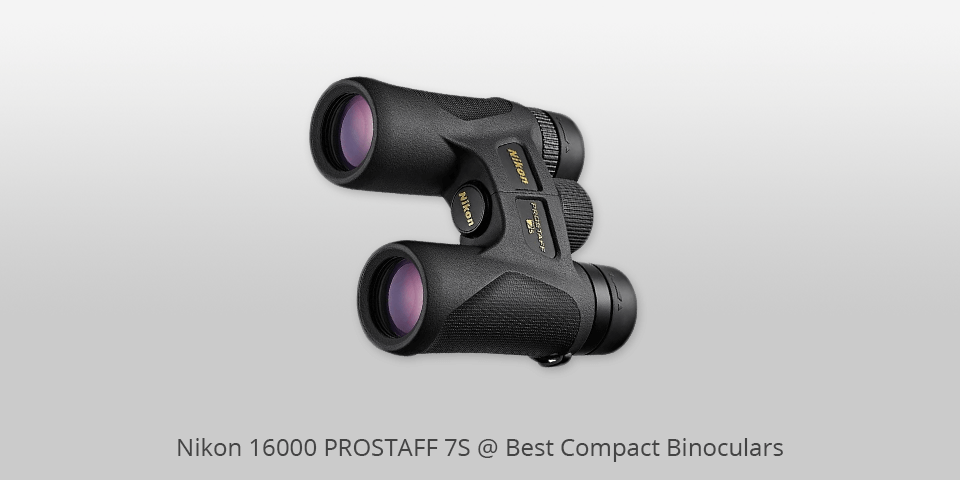 compact binoculars for hunting