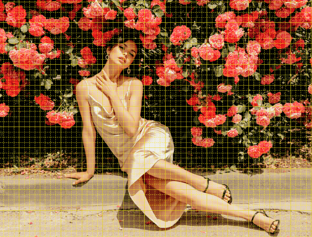 creating photoshop grid for photos