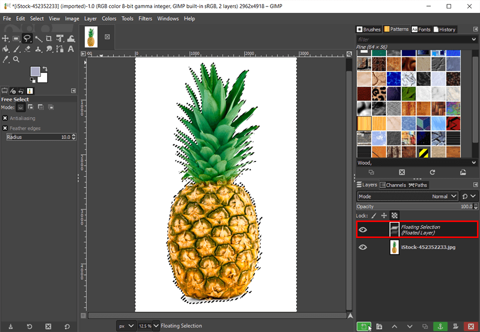 cut out an image in gimp remove the background