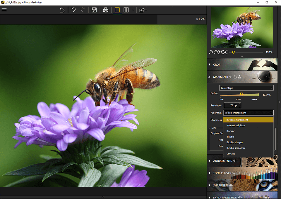 dimensionamento intensivo do inpixio photo maximizer em 1000%