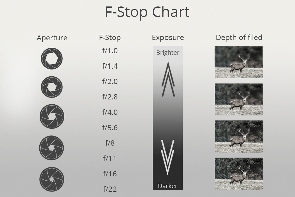 f-stop meaning
