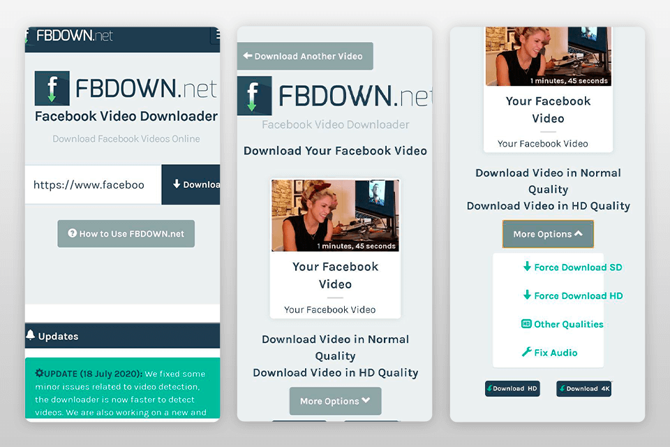 facebook video downloader online interface