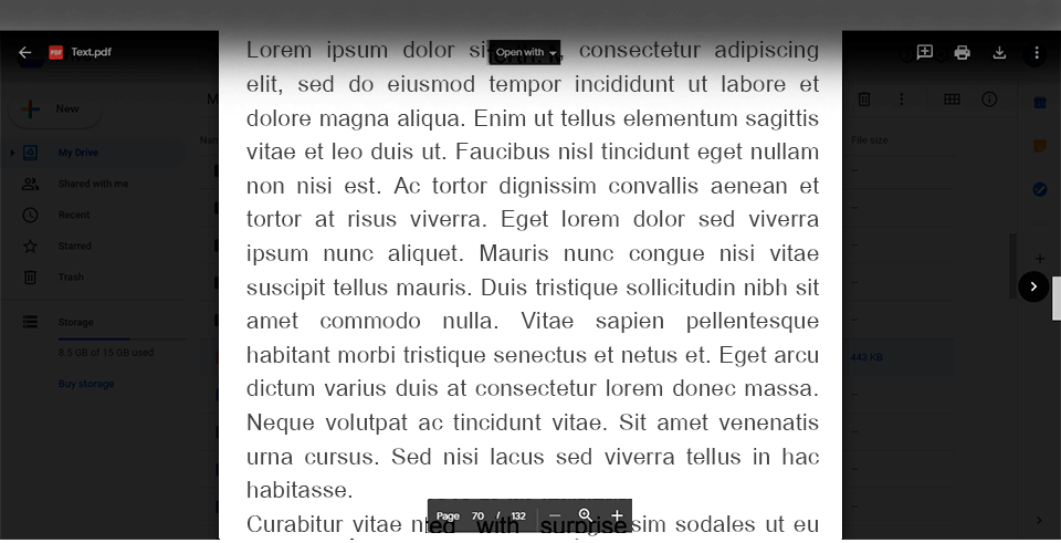 interface von google drive pdf-programm