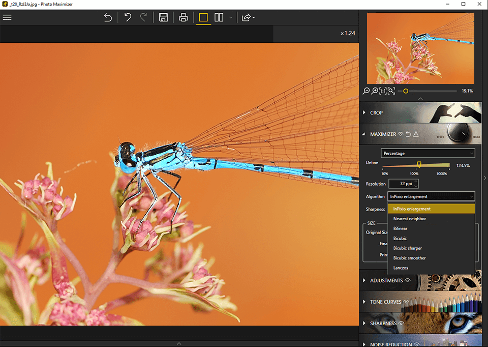 inpixio photo maximizer ingrandimento intensivo fino al 1000%