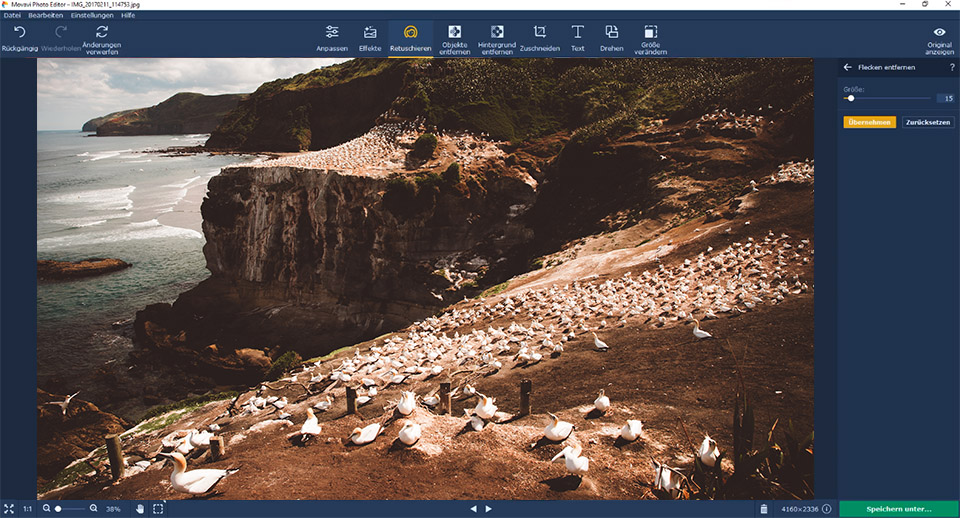 interface von movavi photo editor