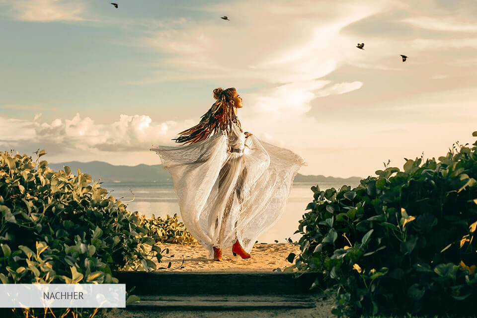 kostenlose filmora luts