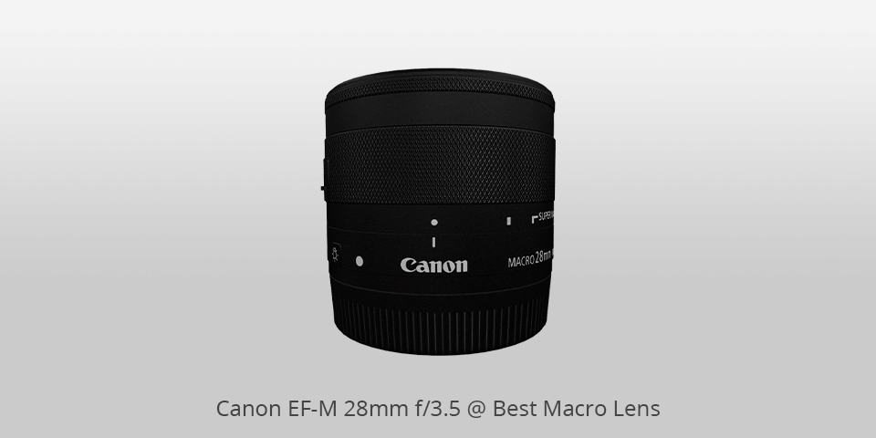 budget macro lens