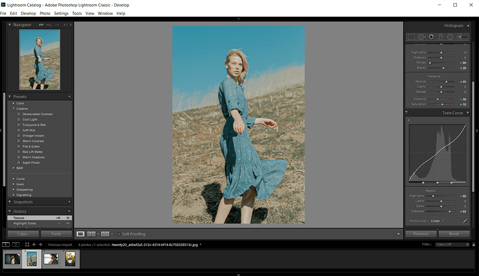 lightroom 자동 사진 편집기 인터페이스
