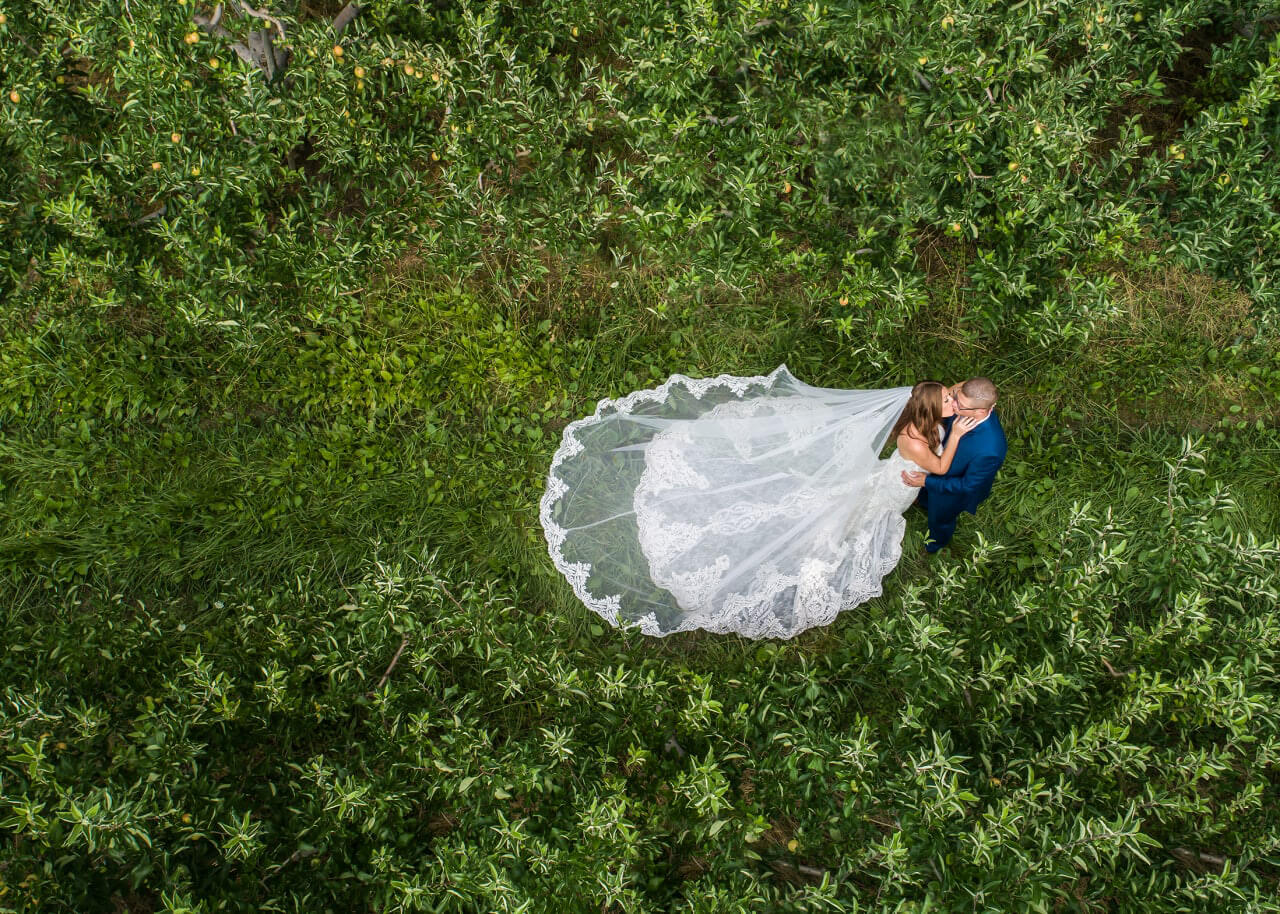 love is all you need wedding photographers ohio