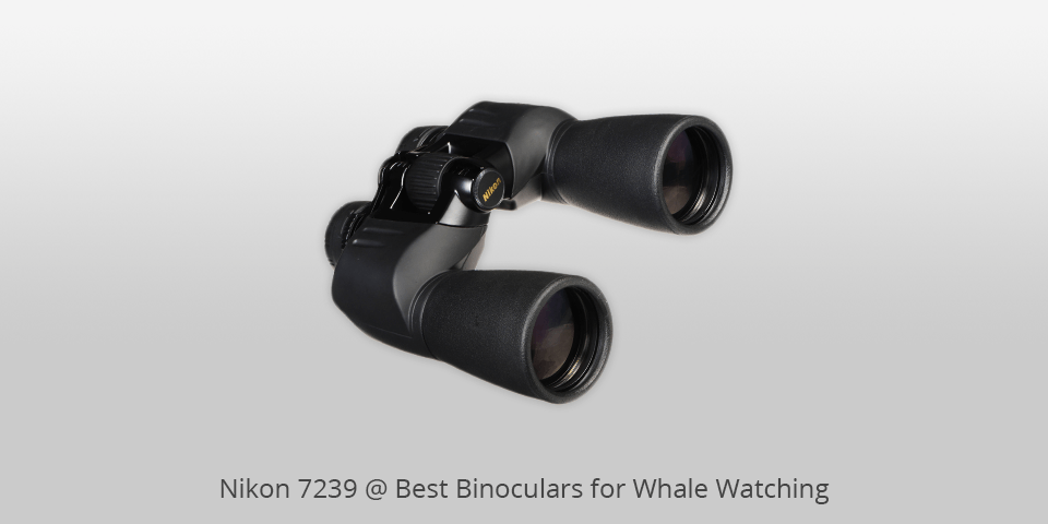 nikon action binos for whale watching