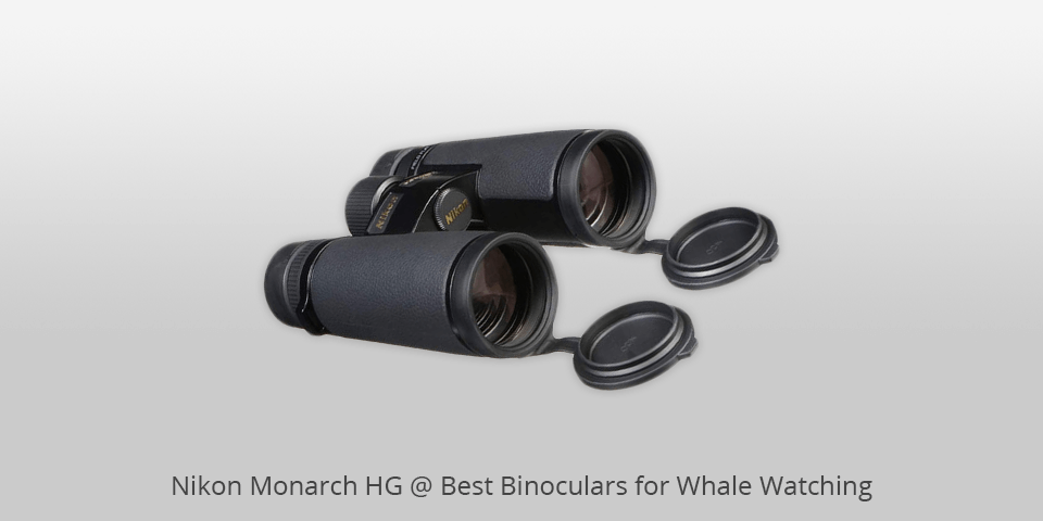nikon whale watching binoculars