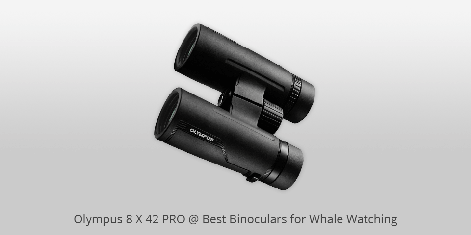 olympus pro binoculars