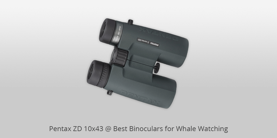 whale watching pentax binoculars