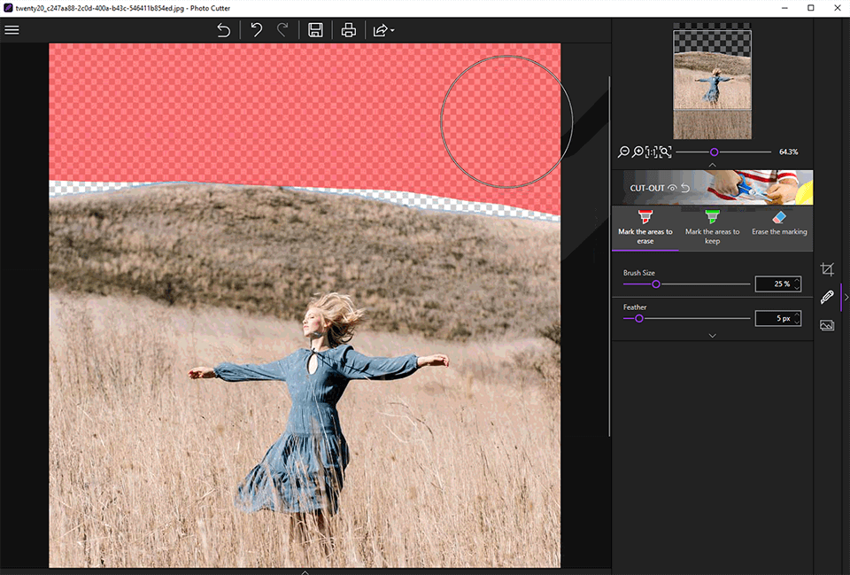 retoque seletivo automático do inpixio
