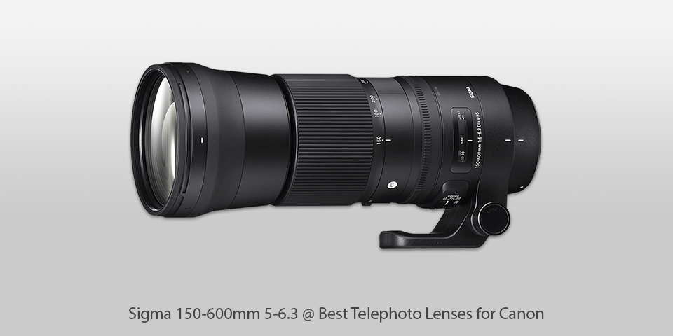 sigma 150-600mm 5-6.3 telephoto lens