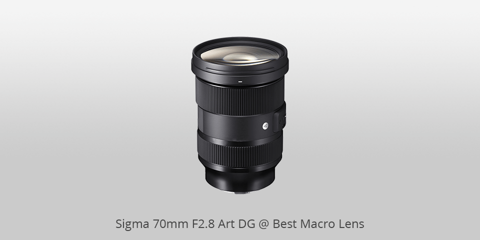 dx macro lens