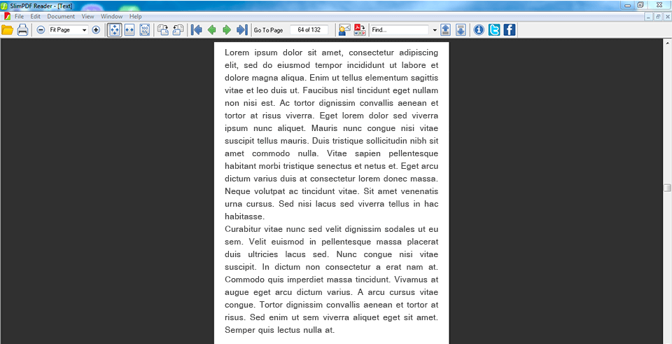 interface von schlanke pdf-programm