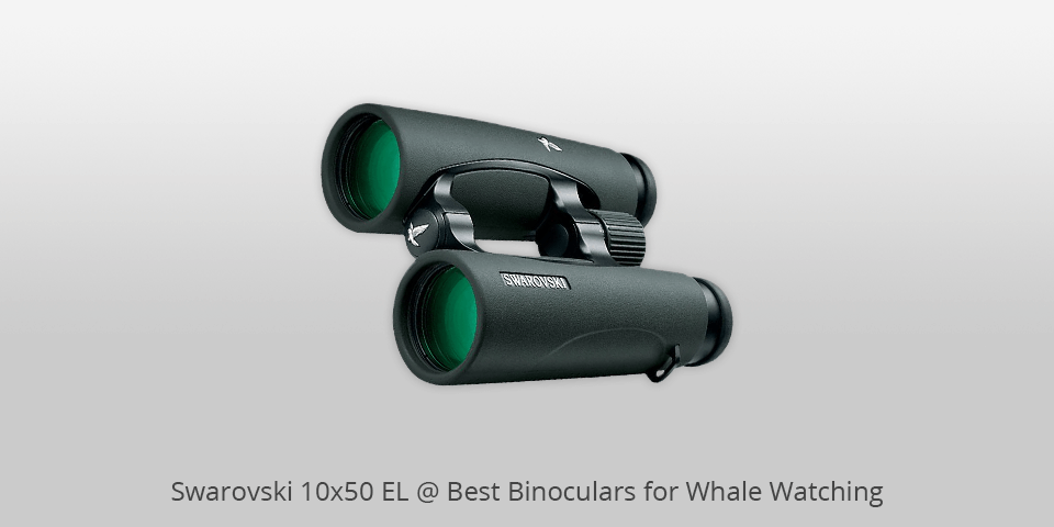 swarovski 50mm binoculars