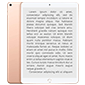 ips display premium tablet