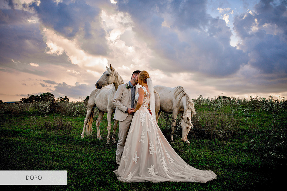 vegas pro lut matrimonio