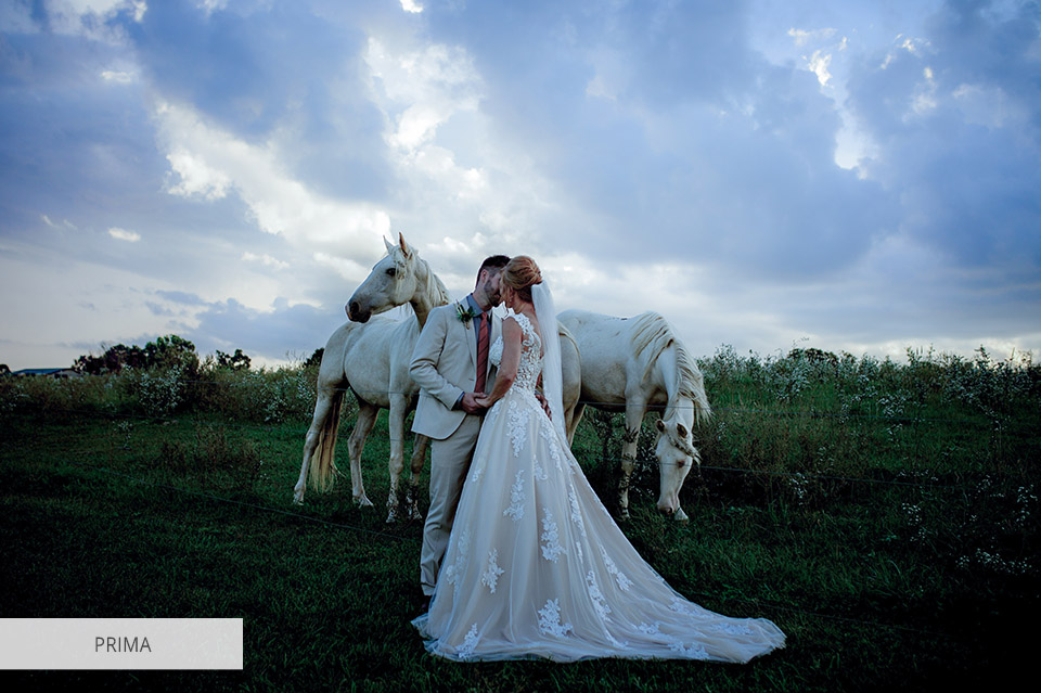 vegas pro lut matrimonio