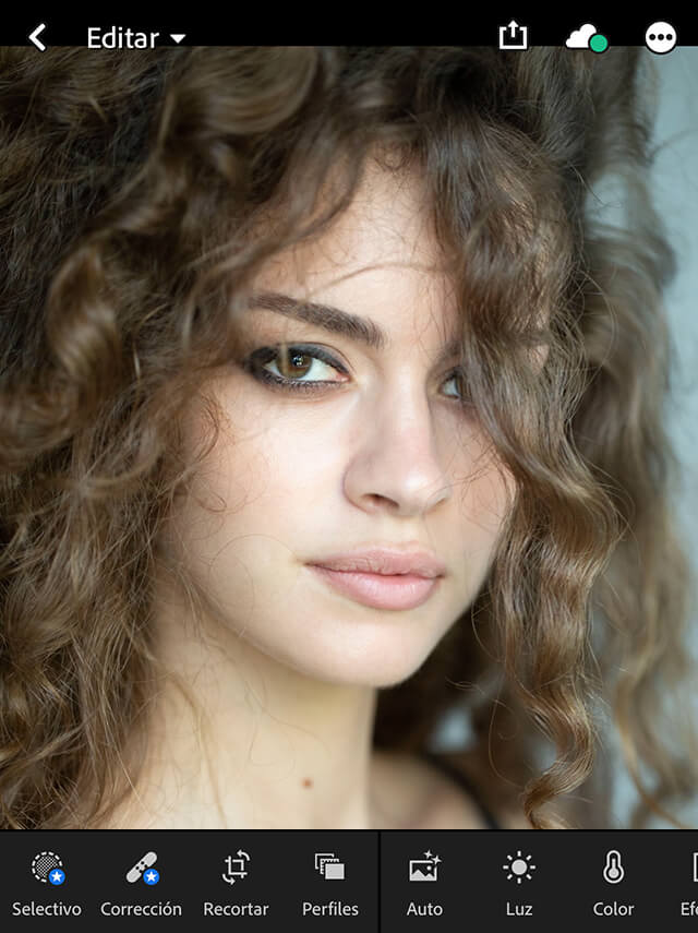 versión móvil de lightroom cc