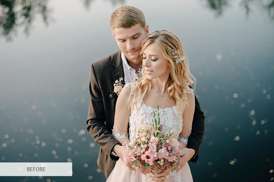 free premiere element luts