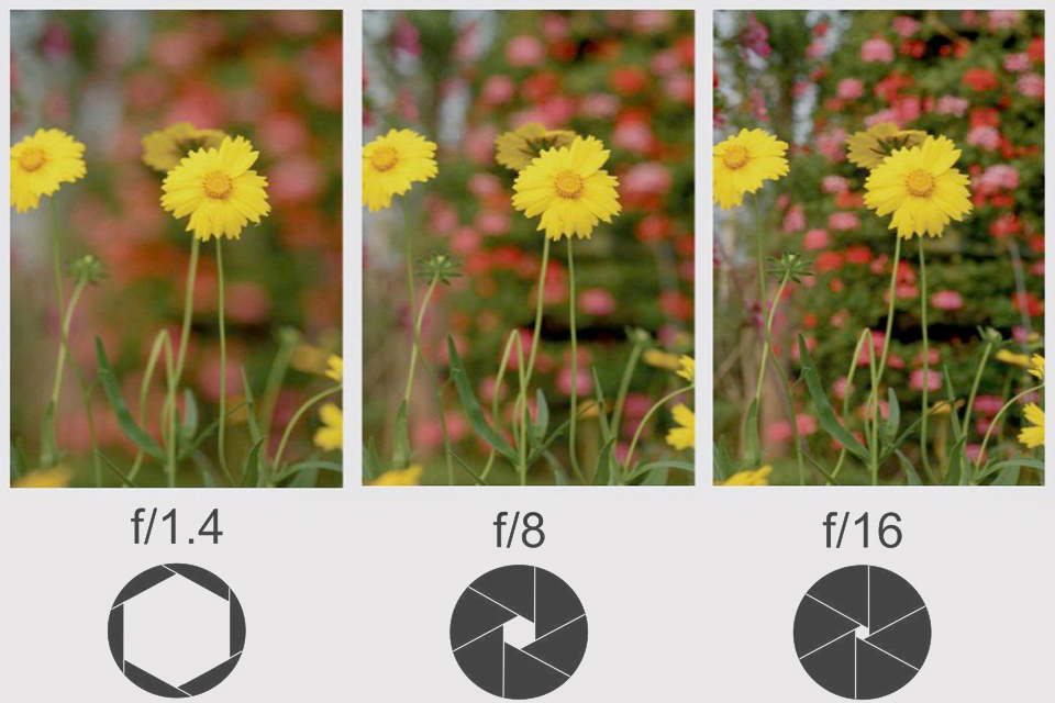 f-stop depth of field