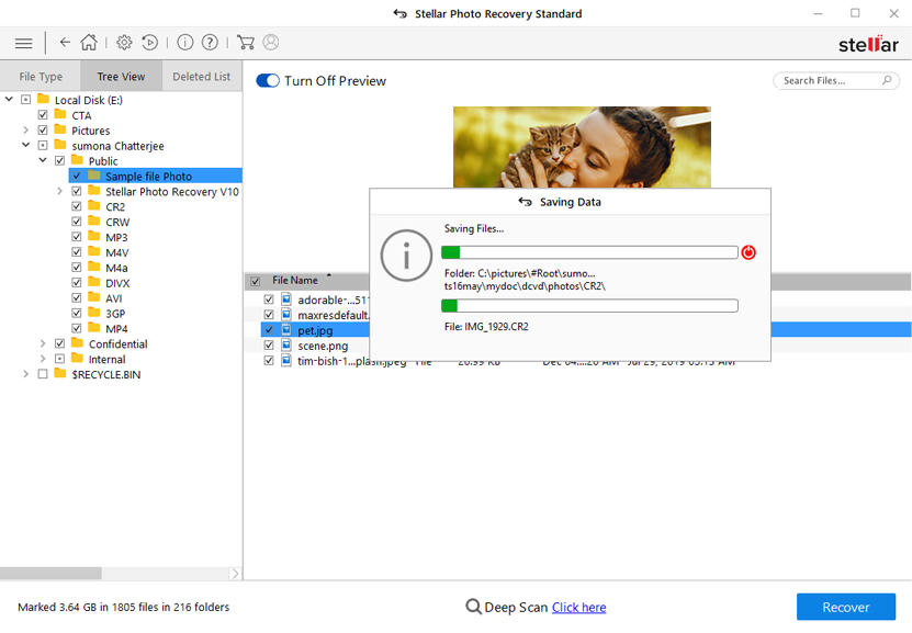 stellar photo recovery supported file formats