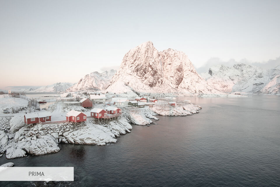 lut pink grade gratis prima e dopo