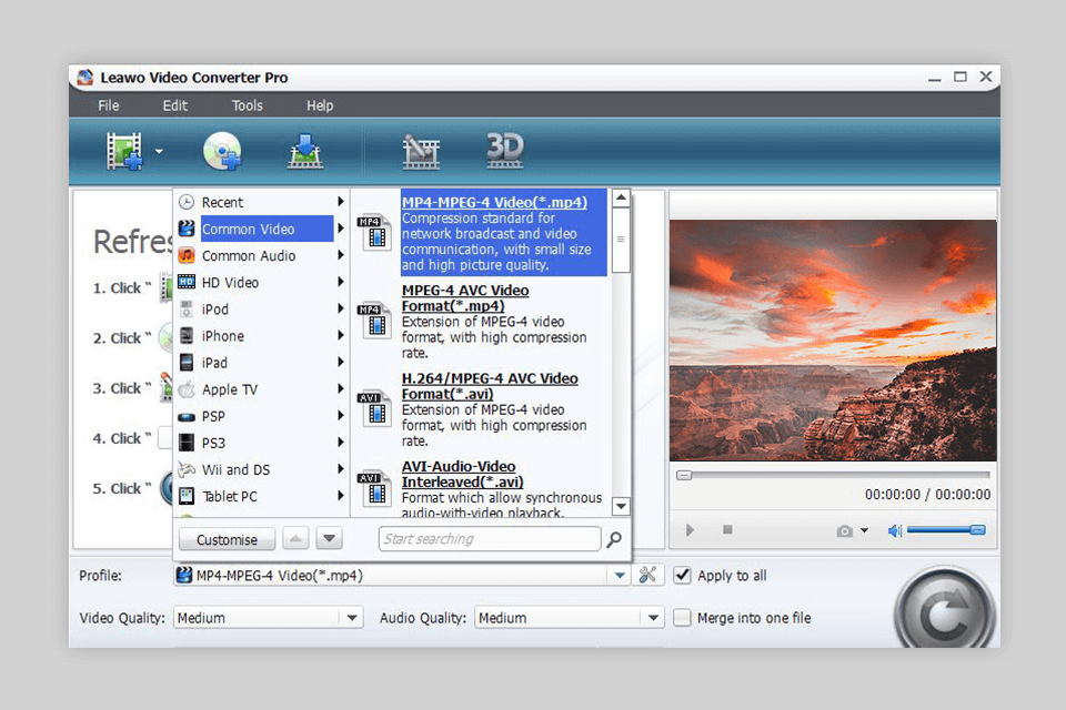 leawo video converterinterface
