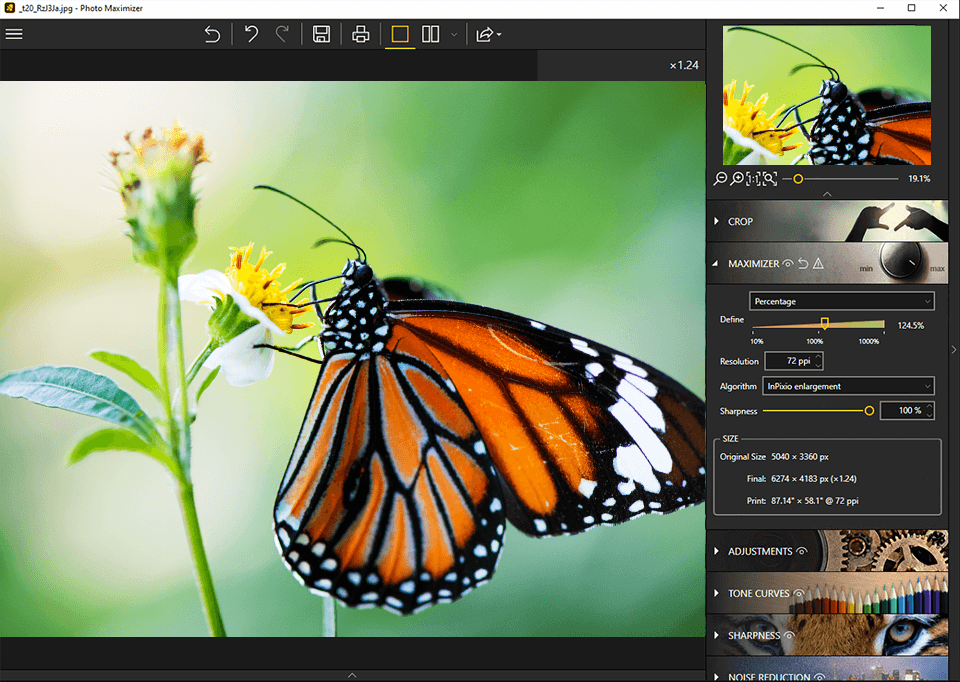 inpixio photo maximizer - intensive skalierung um 1000%