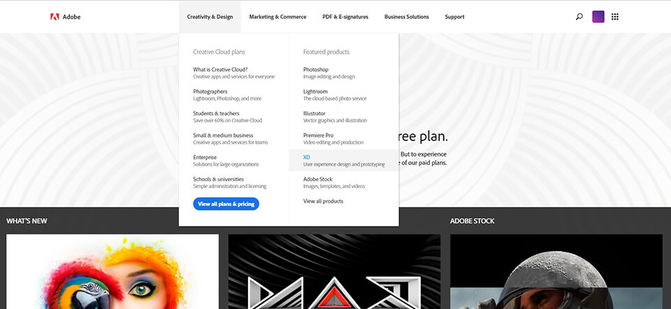 adobe xd torrent crack main site