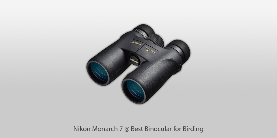 binocular for birding nikon monarch 7