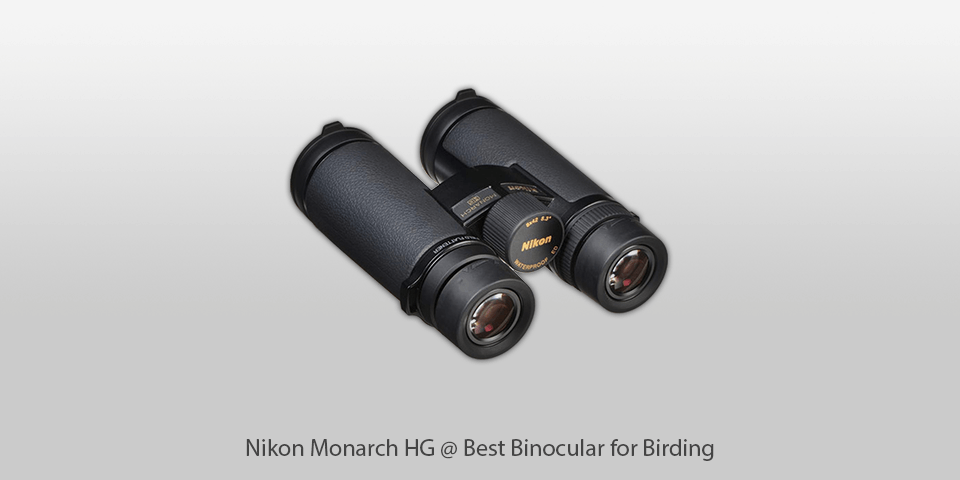 binocular for birding nikon monarch hg