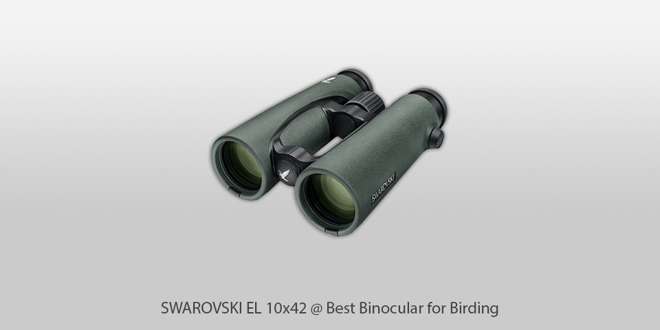 binocular for birding swarovski el 10x42