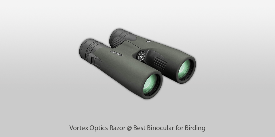 binocular for birding vortex optics razor