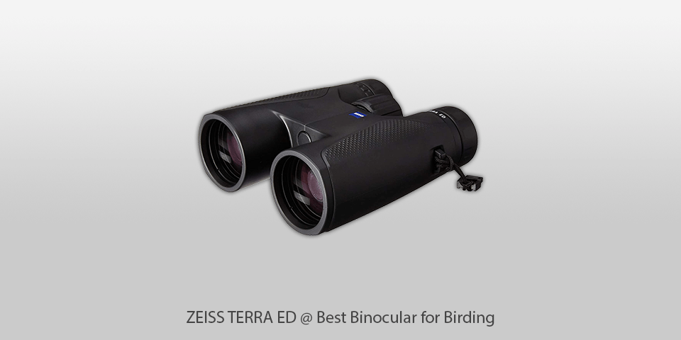 binocular for birding zeiss terra ed
