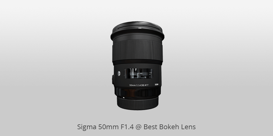 best bokeh lens sigma 50mm f1.4