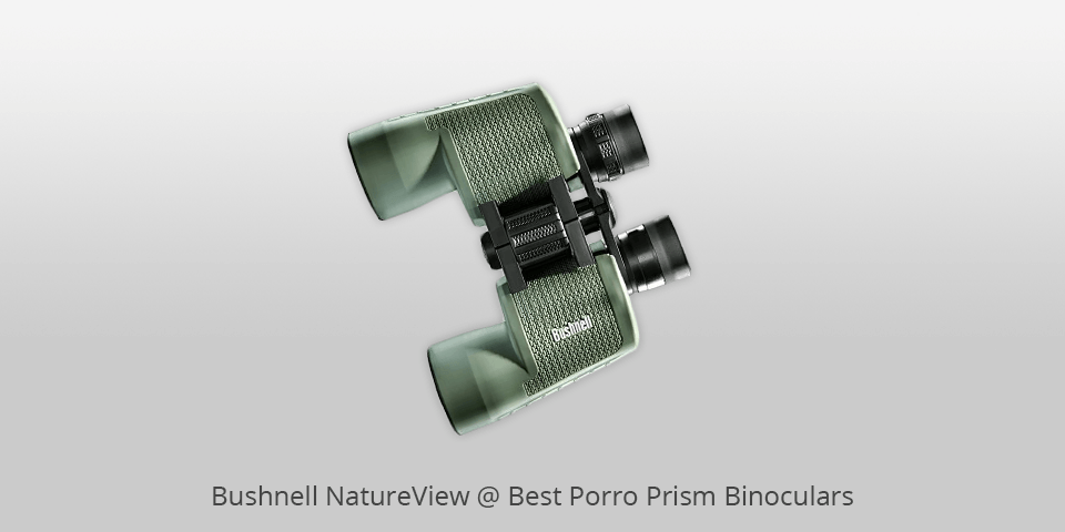 best porro prism binoculars for birding