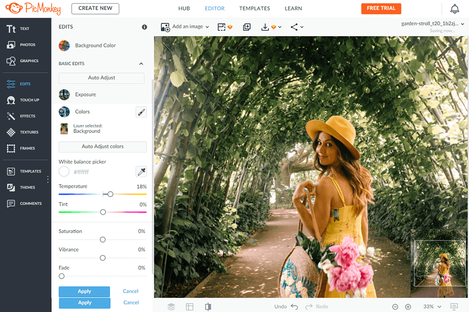 picmonkey websites like canva
