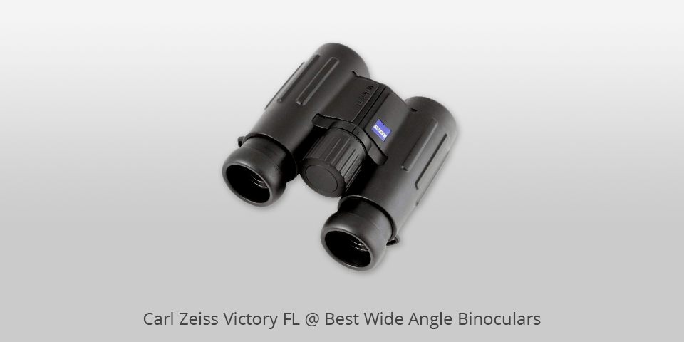 wide field of view binoculars