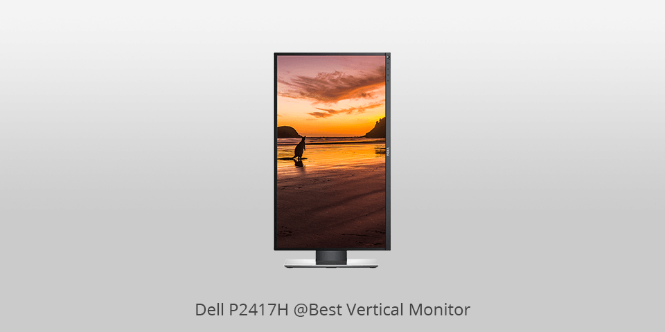 multi-task affordable vertical ips monitor