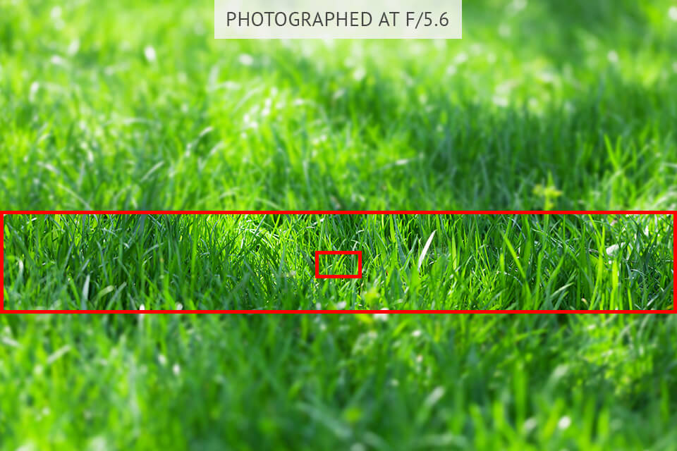 depth of field examples